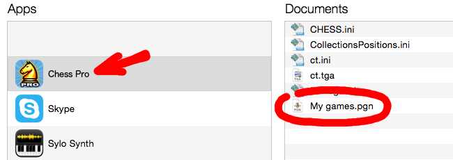 iTunes app's Document